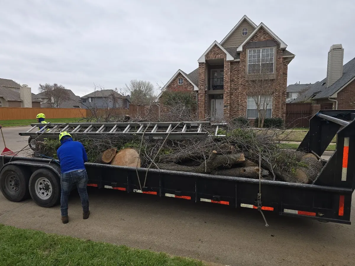 Expert Tree Fertilization with proper safety equipment in Saybrook